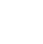 Logo Boston Group